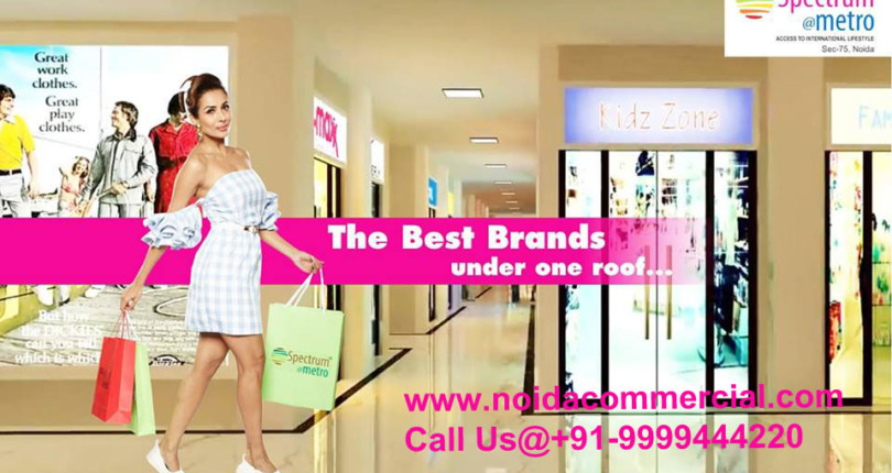 Studio Apartments in Noida is best Option to invest Smartly
