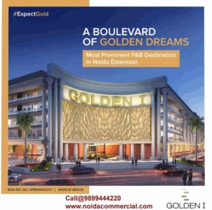 ocean golden i noida