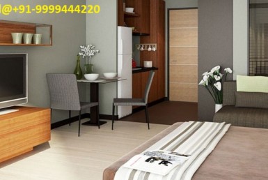 alphathum studio apartment noida