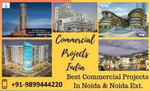 commercial projects in Noida Extension