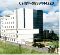 Corporate Buildings and IT Plots for Sale in Sector-132, Noida