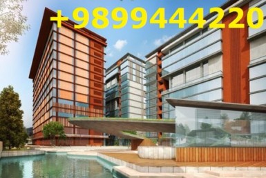 commercial property in Noida
