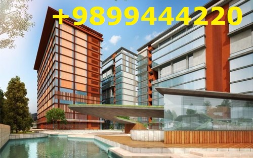 How to Find Suitable Commercial Property in Noida, India 