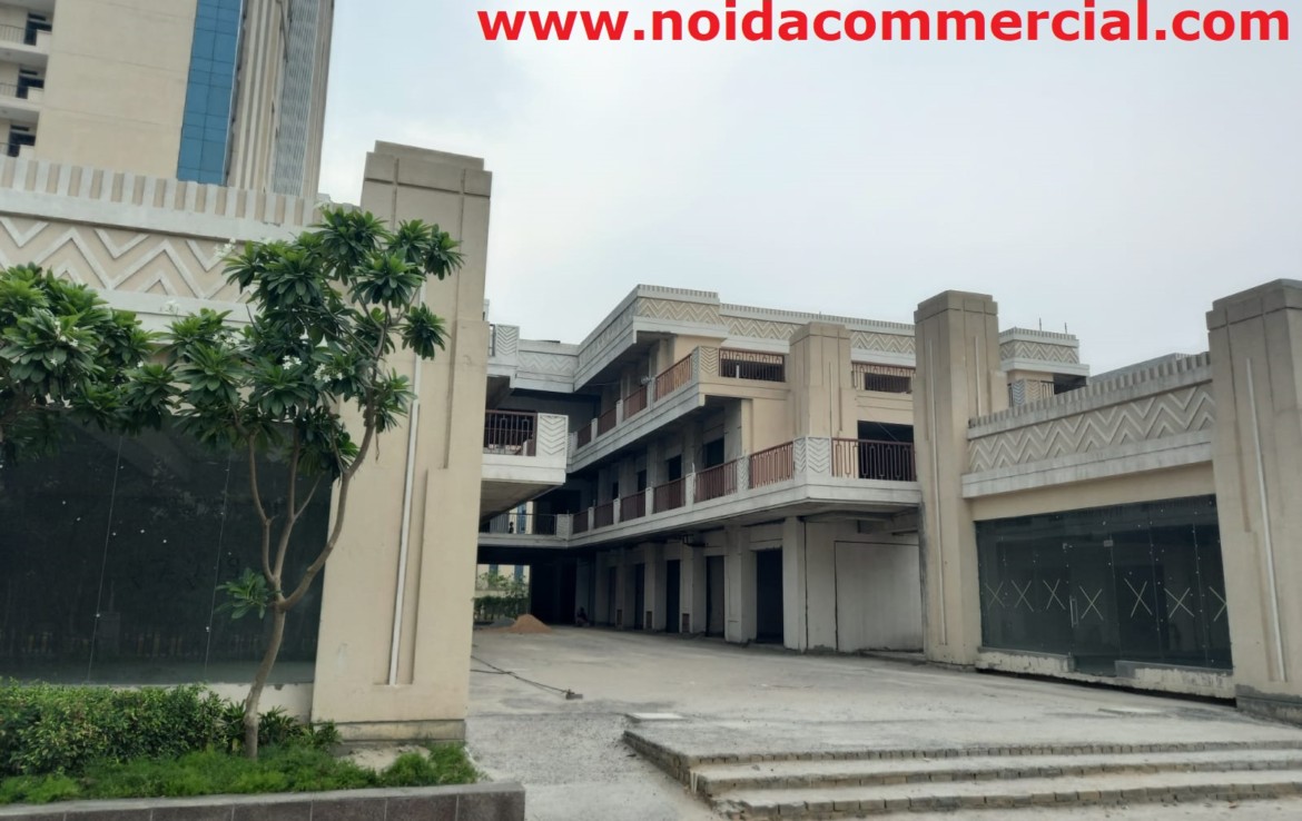 ats bouquet sector 132