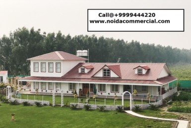 Farmhouse in Noida