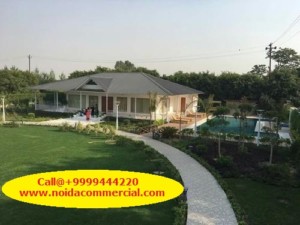 Farmhouse in Noida