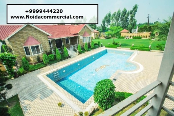 Why Invest in Noida Farmhouse