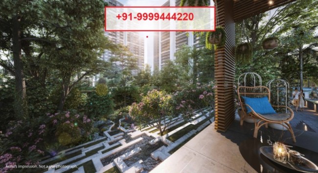 Godrej Woods Sector 43 Noida Urban Forest in a city Plumeria