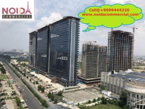 Buy Bhutani Alphathum Noida