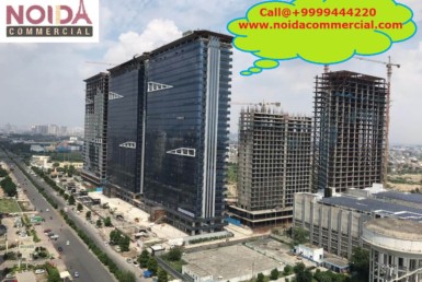 Buy Bhutani Alphathum Noida