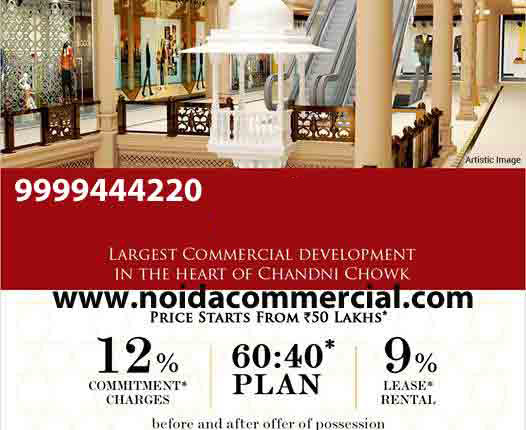 Omaxe Karol Bagh a Commercial Property with Numerous Luxurious Amenities