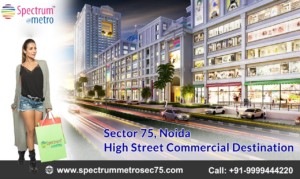 Spectrum Metro Noida - Business Destination That Allures Big Investments