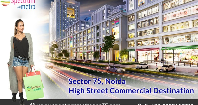 Spectrum Metro Noida – Business Destination That Allures Big Investments
