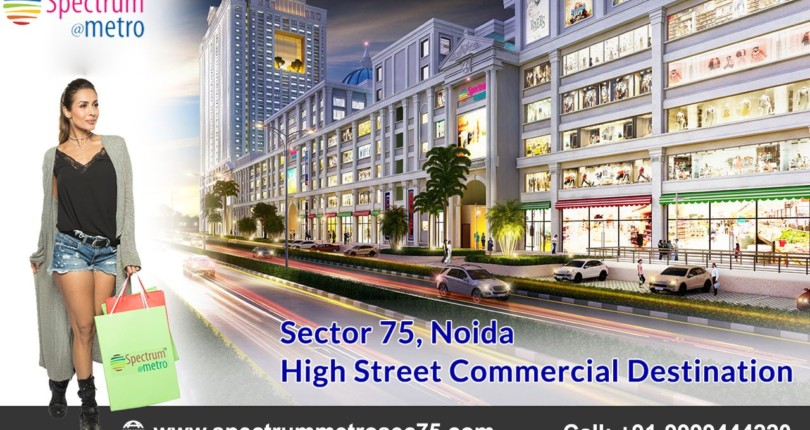 Spectrum Metro Noida – Business Destination That Allures Big Investments