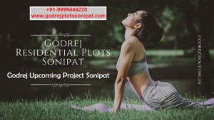 Godrej Plots Sonipat a Better Opportunity for Real Estate Investors 