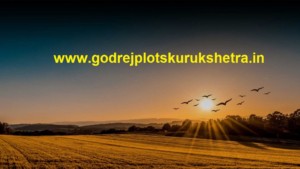 Experience the Unparalleled Beauty of Investing in Kurukshetra Godrej Plots
