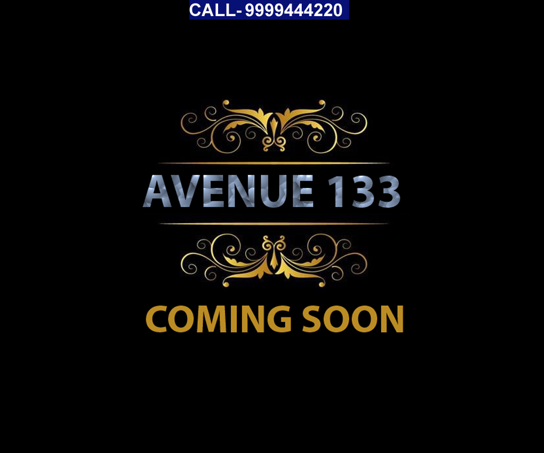 Book Your Shops and Food Courts in Avenue 133 Noida Project