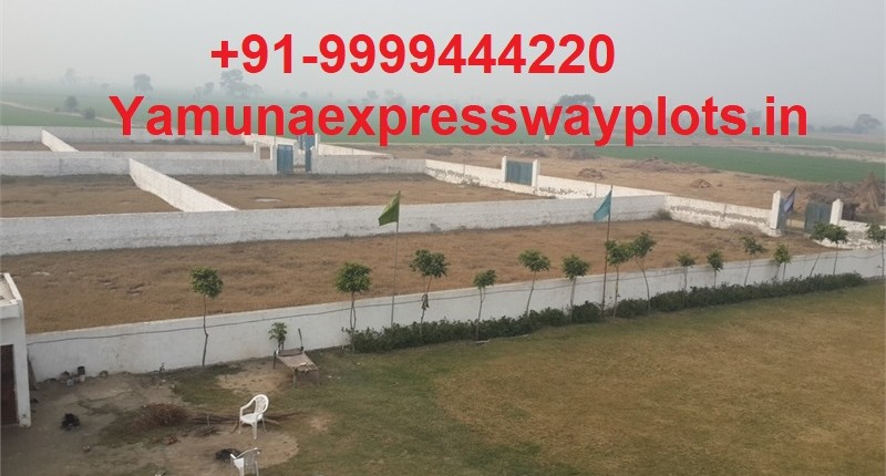 Find Residential and Industrial Plots Under 7% Abadi Plots in Yamuna Expressway Project