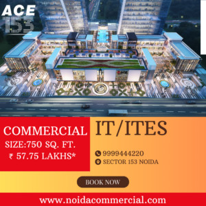 ACE 153 Noida