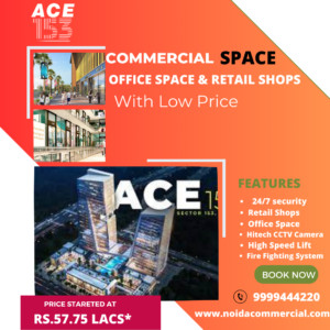 ACE 153 Noida