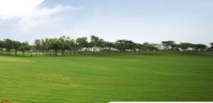 Jaypee Kensington Park Plots Price